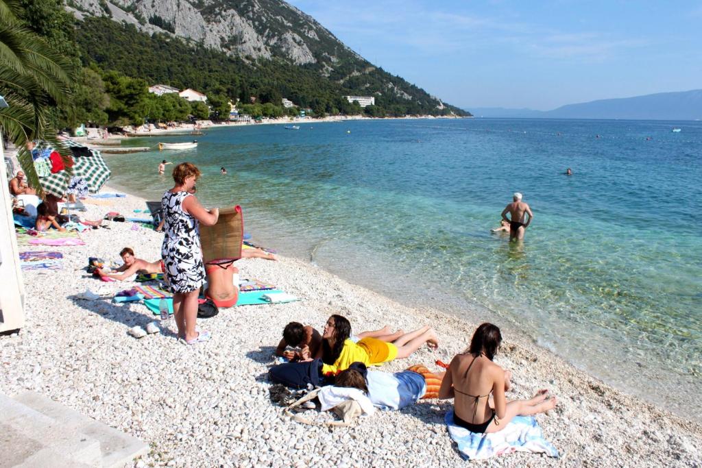 Príroda v okolí apartmánu