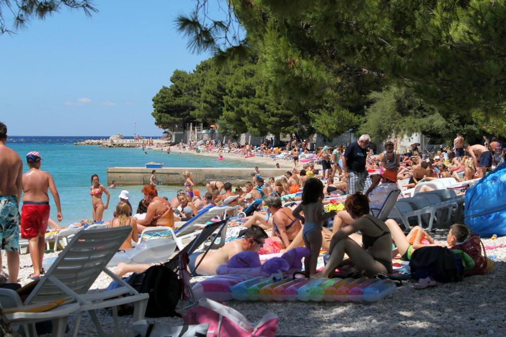 Príroda v okolí apartmánu