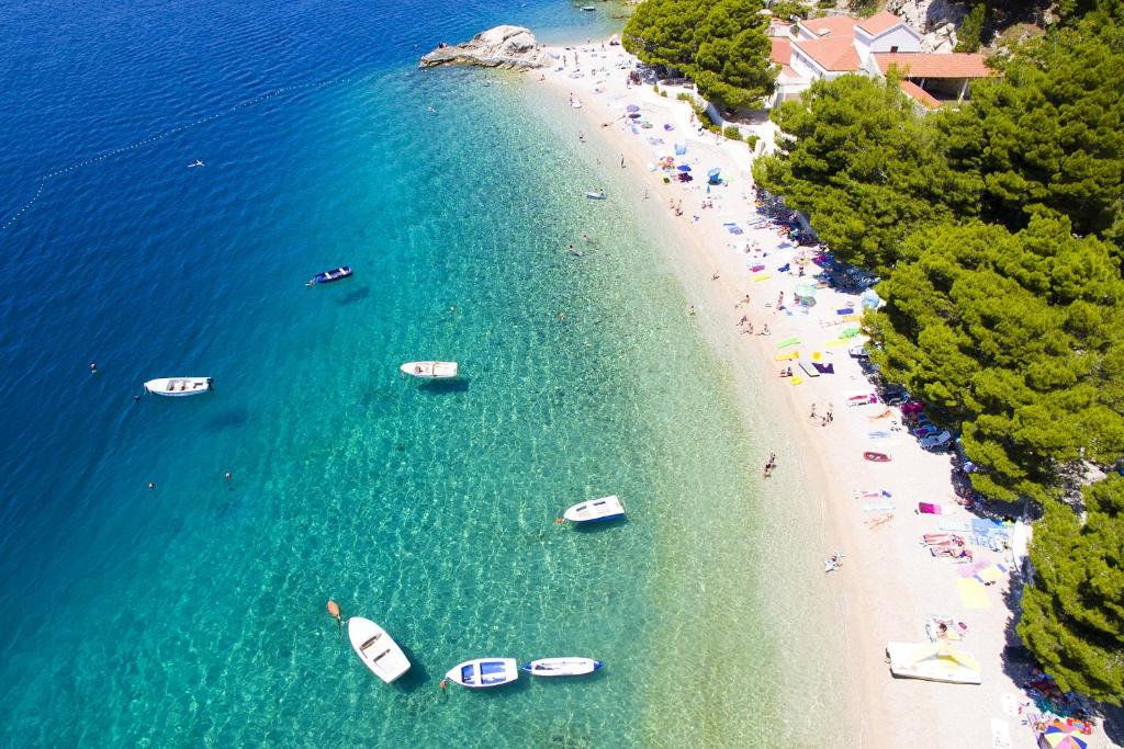 Príroda v okolí apartmánu