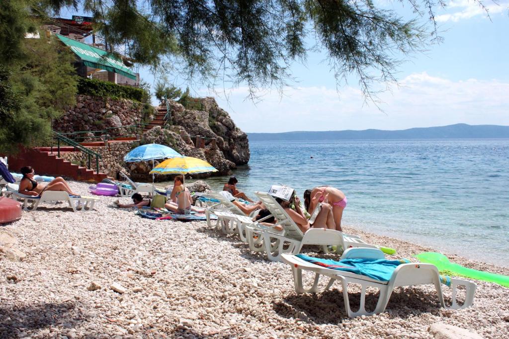 Príroda v okolí apartmánu