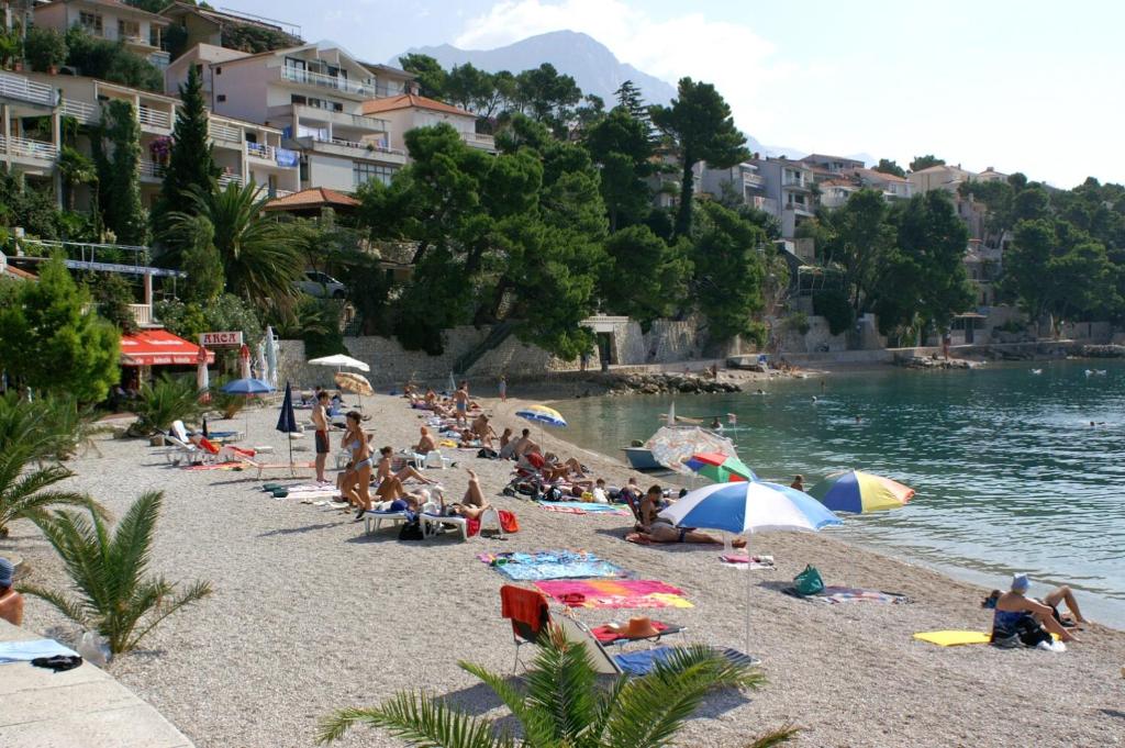 Príroda v okolí apartmánu