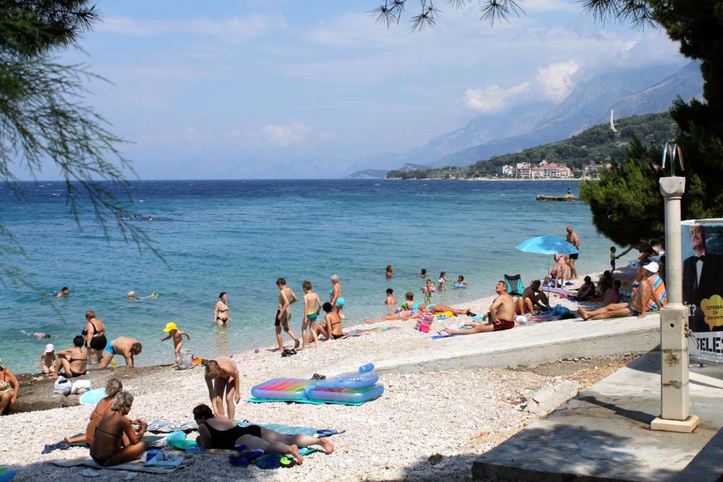 Príroda v okolí apartmánu