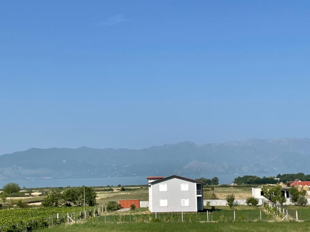 Příroda nedaleko bed and breakfast