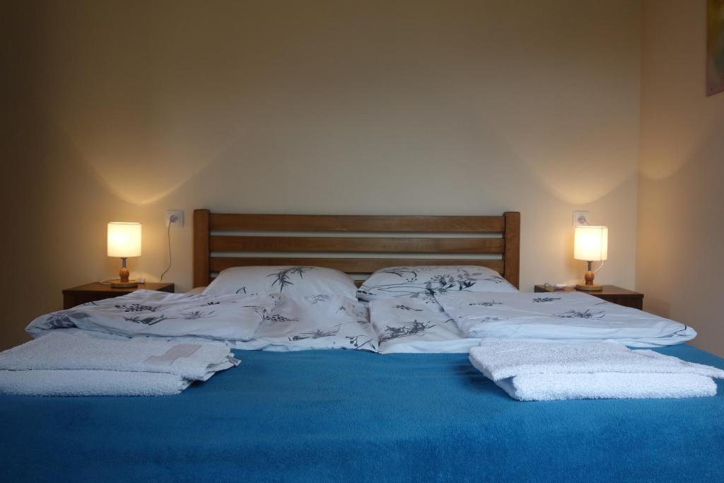 Llit o llits en una habitació de Guesthouse Mountain View