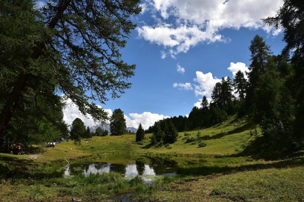 Příroda nedaleko apartmánu