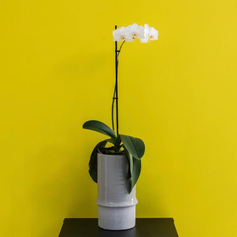 Iasonos Suites Athens - Resim 40