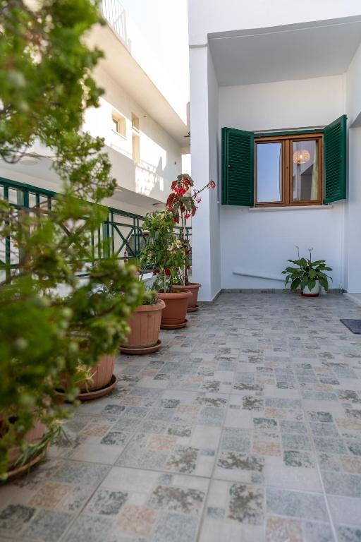 Fotografia z galérie ubytovania Naxian Asset v destinácii Naxos Chora