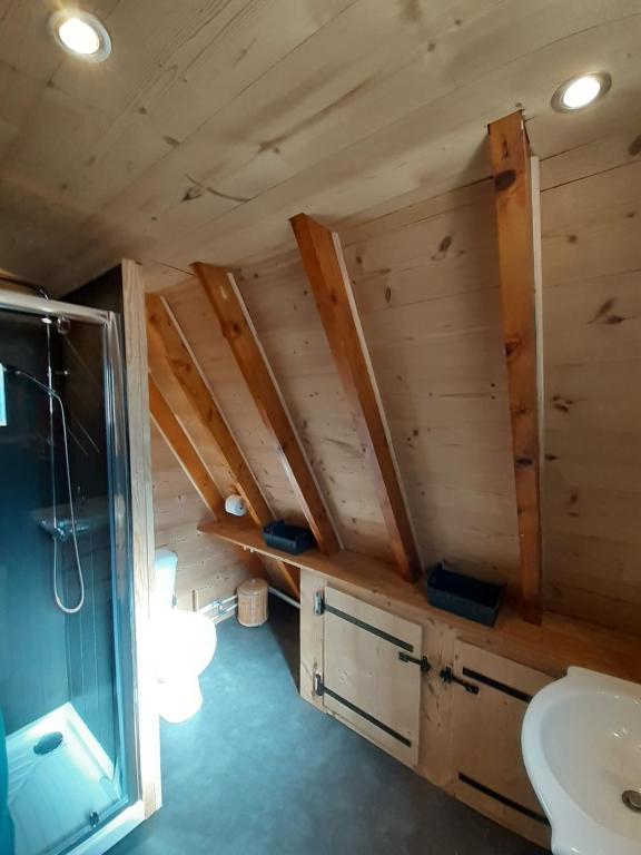 een badkamer met een toilet, een wastafel en een douche bij chalets cocody in Jausiers