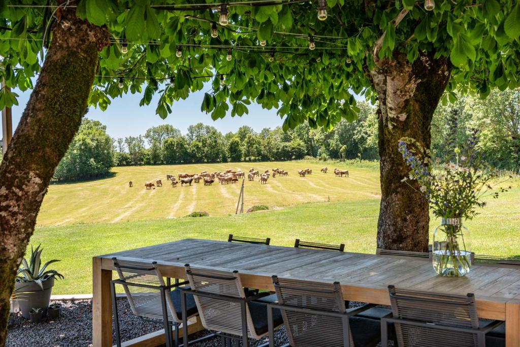 a wooden table and chairs under a tree with a field at MAISON de la Bonne Vie in Thérondels