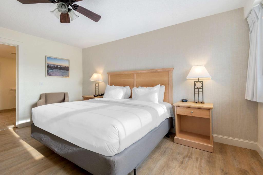 Seasider Motel photo