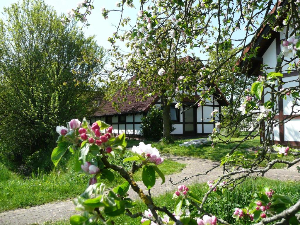 a house with pink flowers in front of it at Ferienhaus Deichgraf 86 im Feriend in Bachenbrock