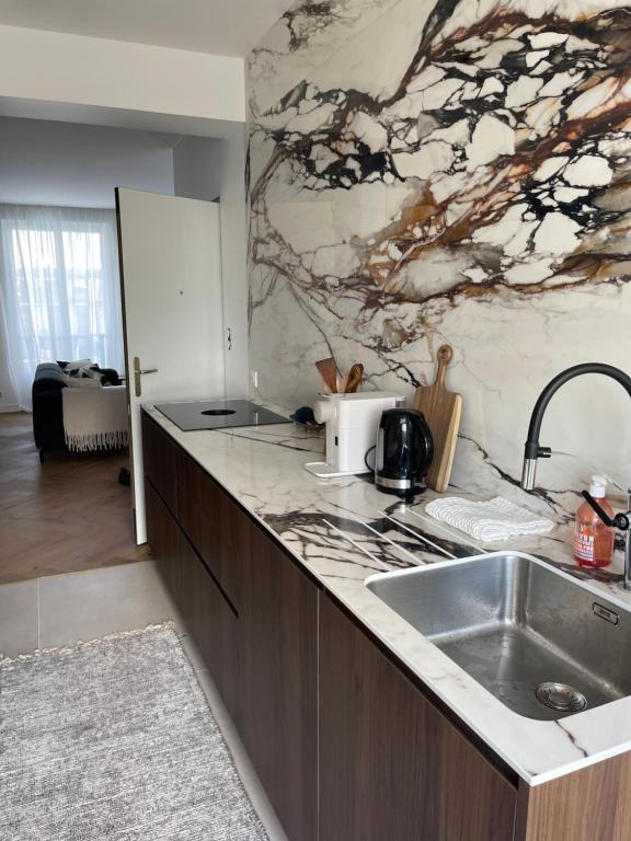 uma cozinha com um lavatório e uma bancada em Le Siam em Brest