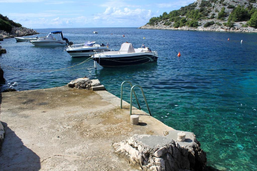 Fotografia z galérie ubytovania Apartments by the sea Razanj, Rogoznica - 17452 v Rogoznici