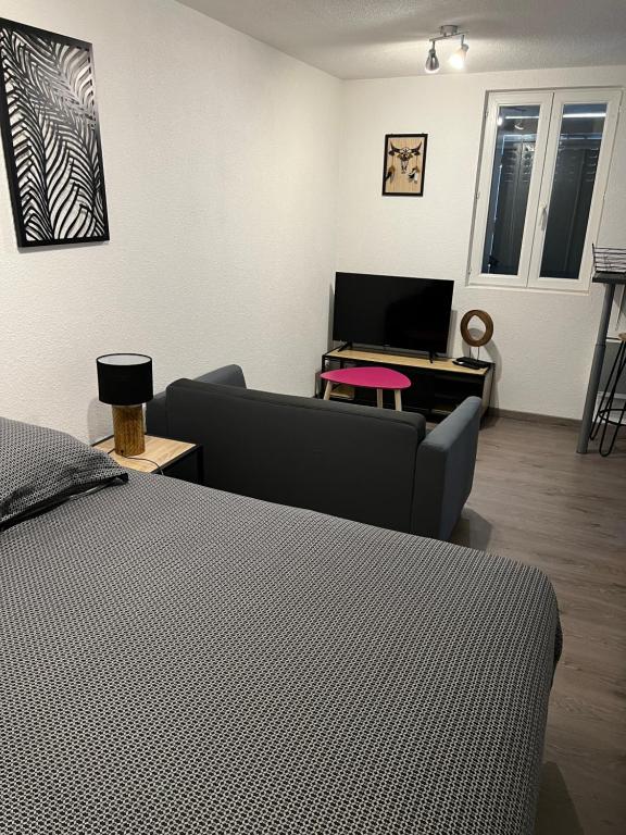 een woonkamer met een bed en een bank bij La Bâtisse de Chabot N°7 in Montluçon