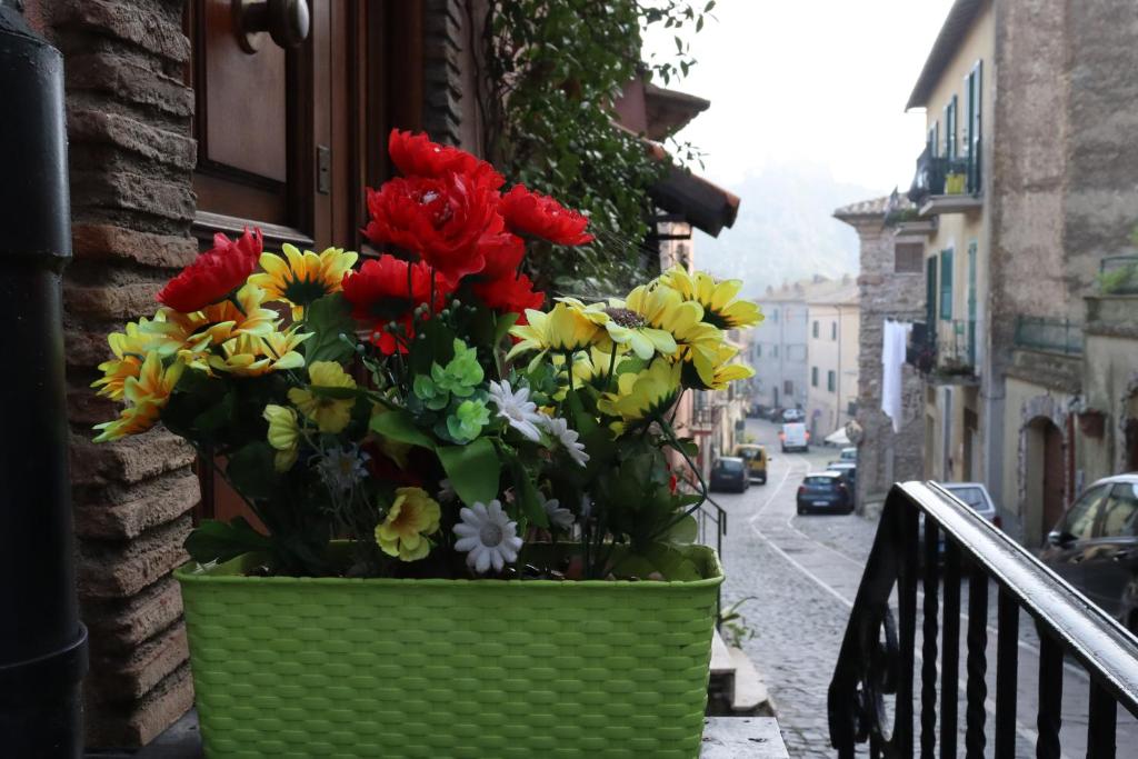 Il quartiere o una zona nella vicinanze dell'ostello