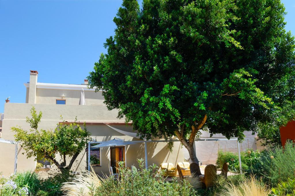 ein Haus mit einem Baum davor in der Unterkunft Casa Mediterranea in Nurachi