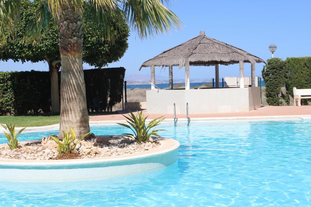 una piscina con una palmera y un cenador en Cabo Mar, en El Campello