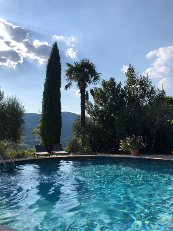a swimming pool with two chairs and a palm tree at Cà di Mora in Lisciano Niccone