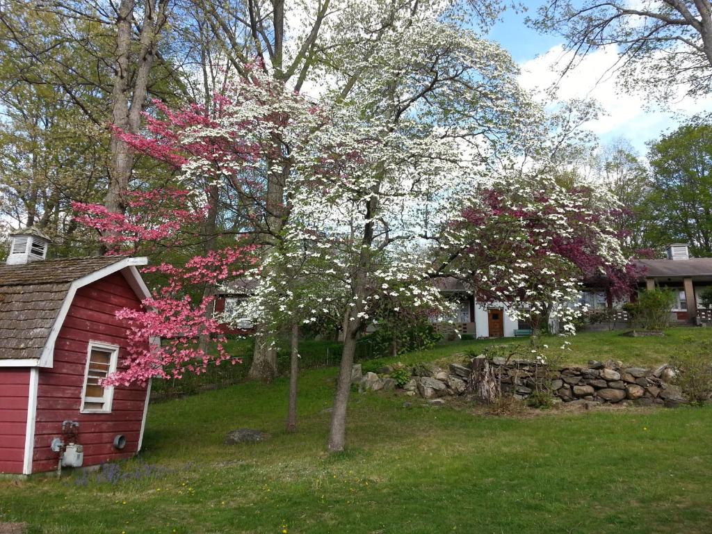 Zahrada ubytování Heidi's Inn