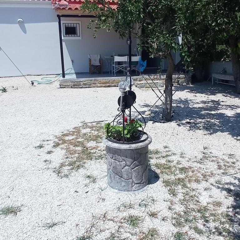 Vonkajšia záhrada v ubytovaní Avocado house