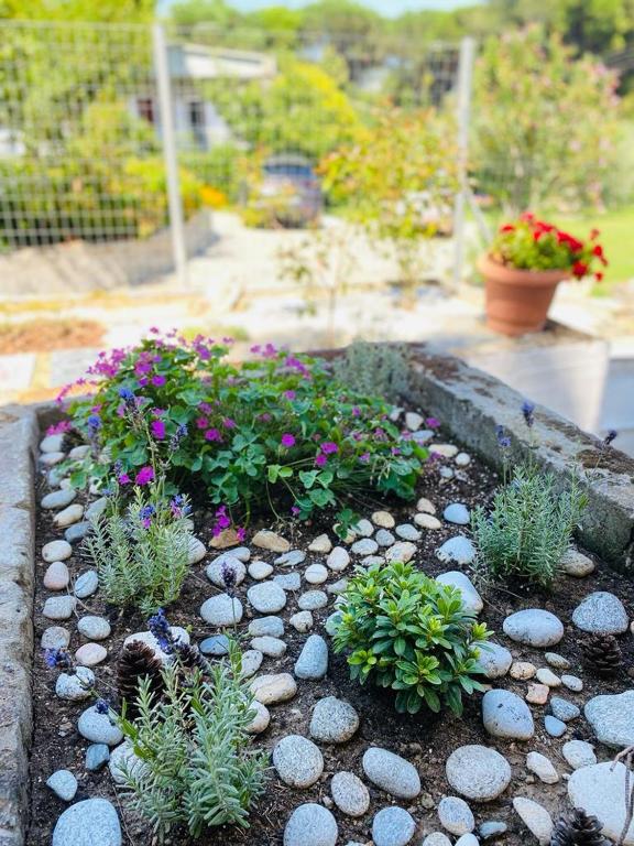 a garden with flowers and rocks and plants at Palio Villa in Paleo Tsifliki