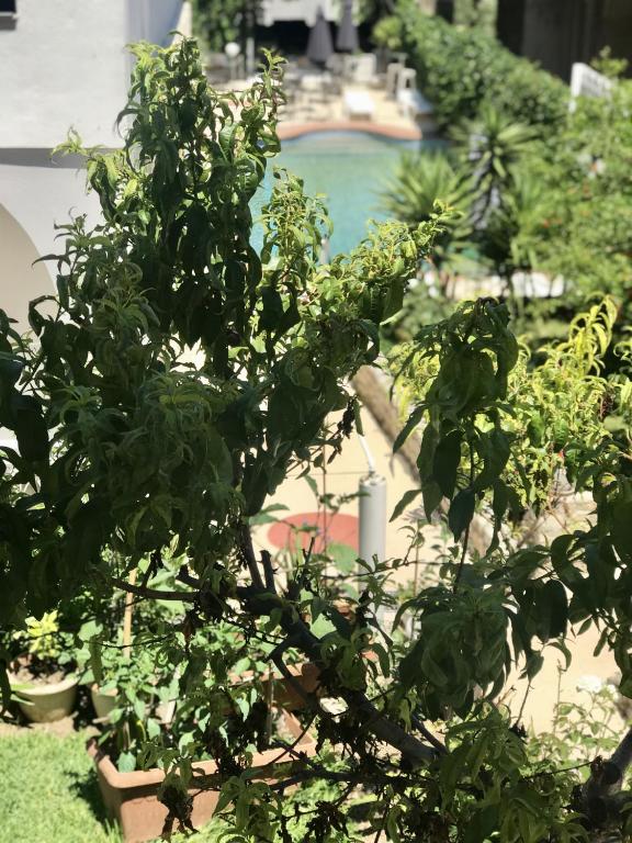 Giardino di Hotel Pighi