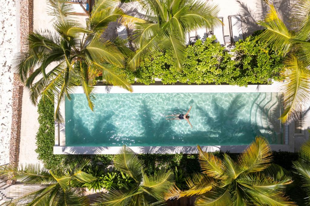 Kebun di luar Passion Boutique Hotel Zanzibar - Adults Only