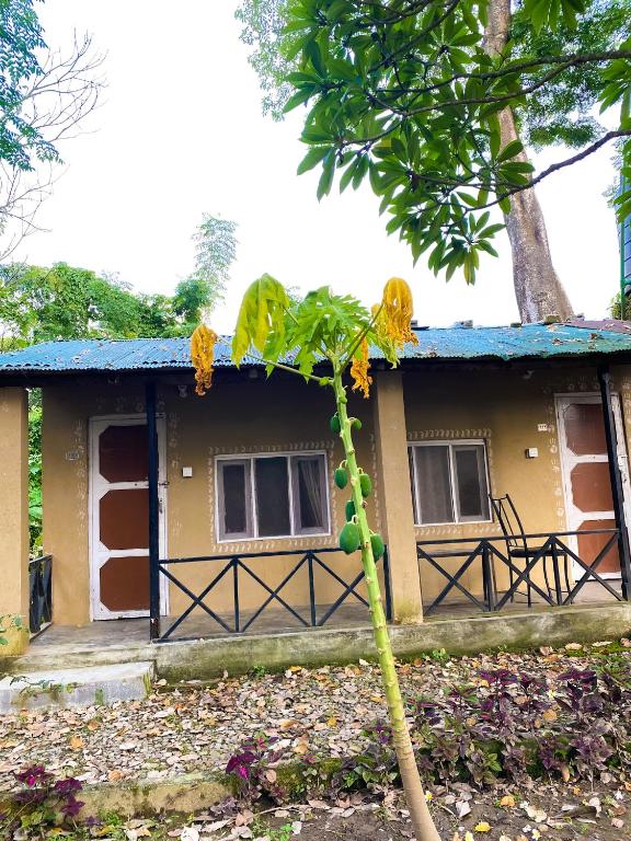 Fotografie z fotogalerie ubytování Nature Safari Camp v destinaci Chitwan