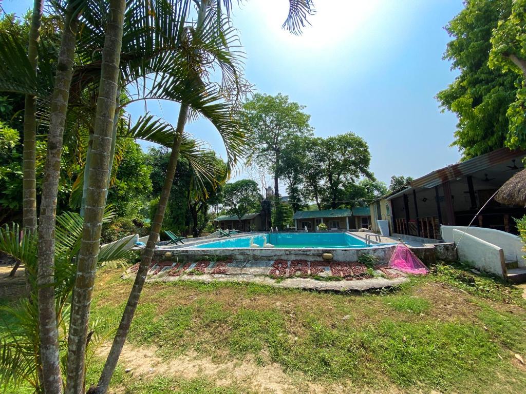 una piscina en un patio con una palmera en Nature Safari Camp, en Chitwan
