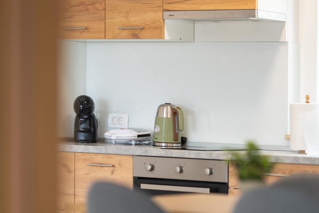 Kuchyň nebo kuchyňský kout v ubytování Apartmani Villa Ruby