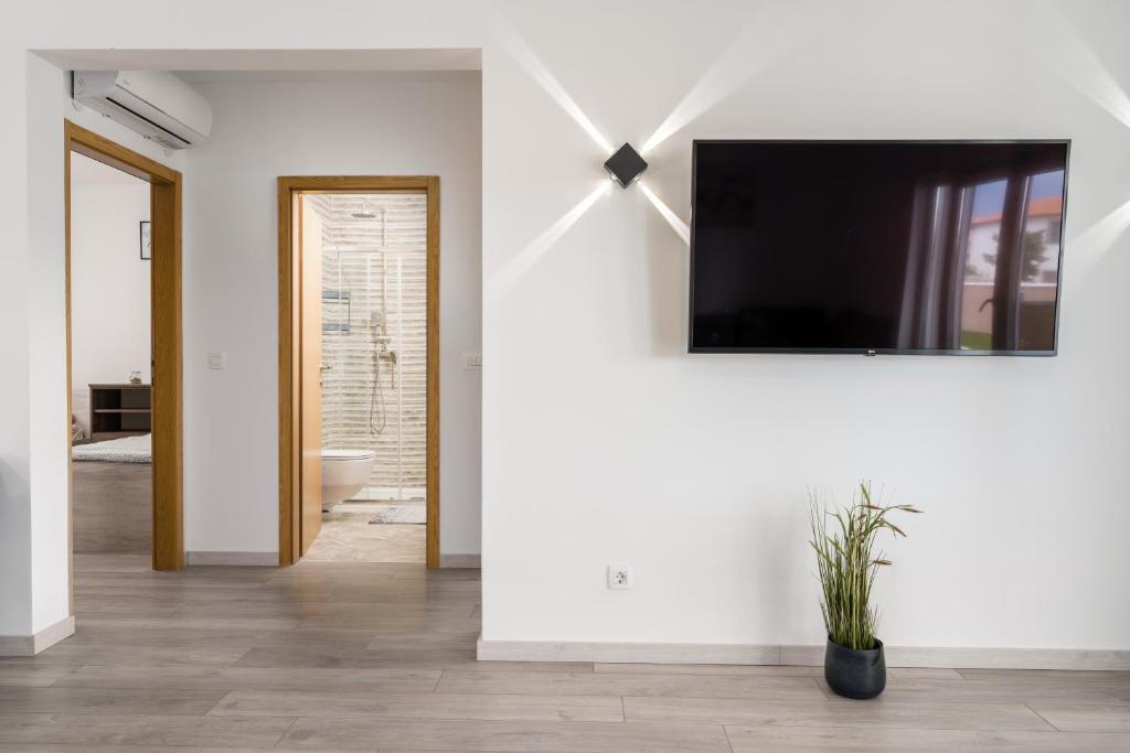 TV a/nebo společenská místnost v ubytování Apartmani Villa Ruby