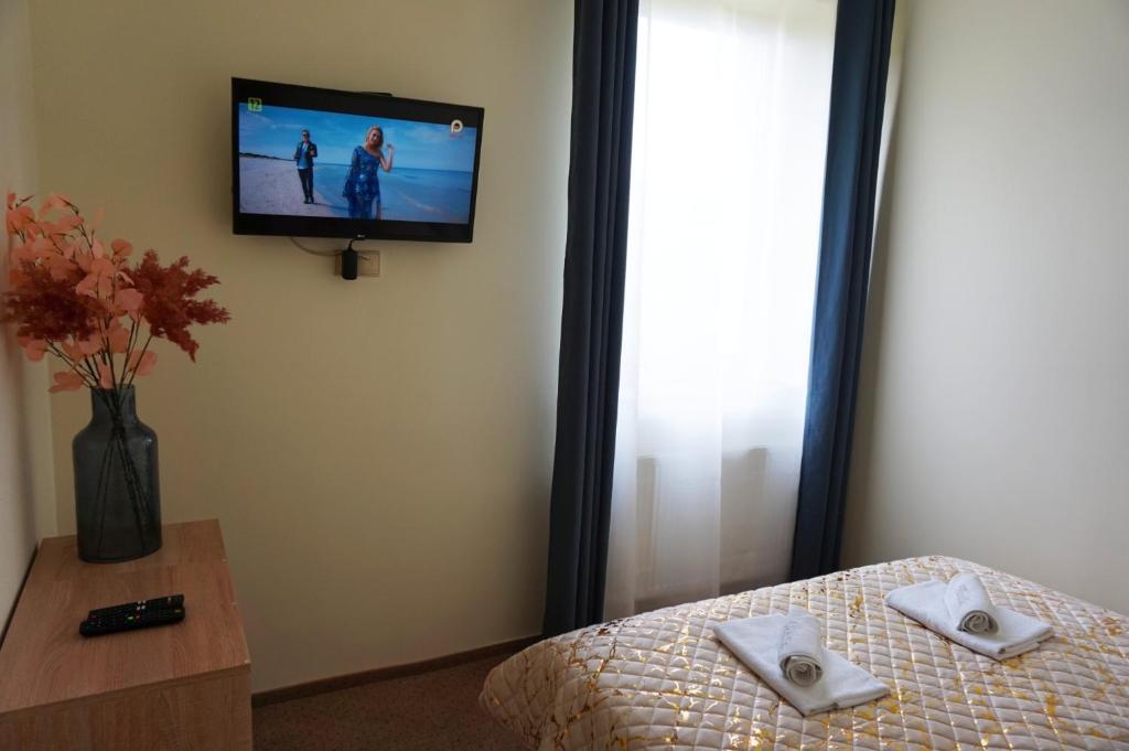 TV a/nebo společenská místnost v ubytování Willa Vanilla