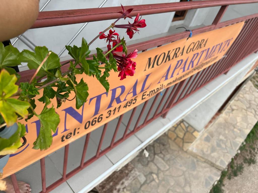 Fotografie z fotogalerie ubytování Mokra Gora Central Apartments v destinaci Mokra Gora