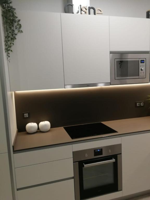 Kuchyň nebo kuchyňský kout v ubytování Glory Suite with AC License ESS02463
