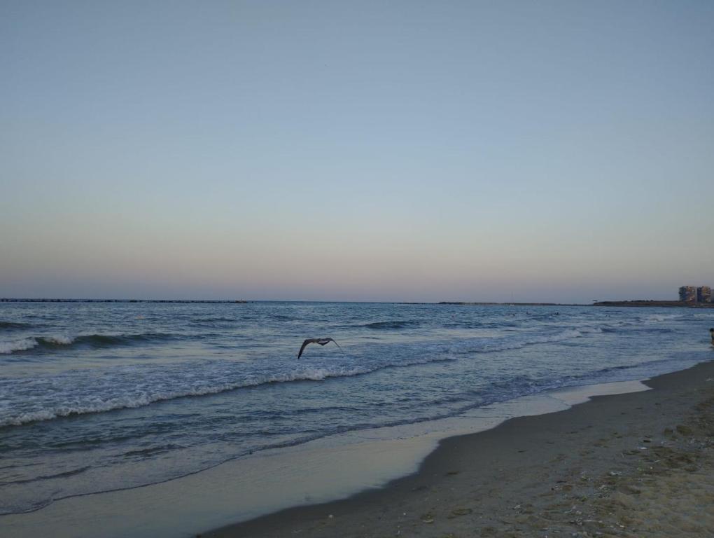 Hotel Doina - Resim 3