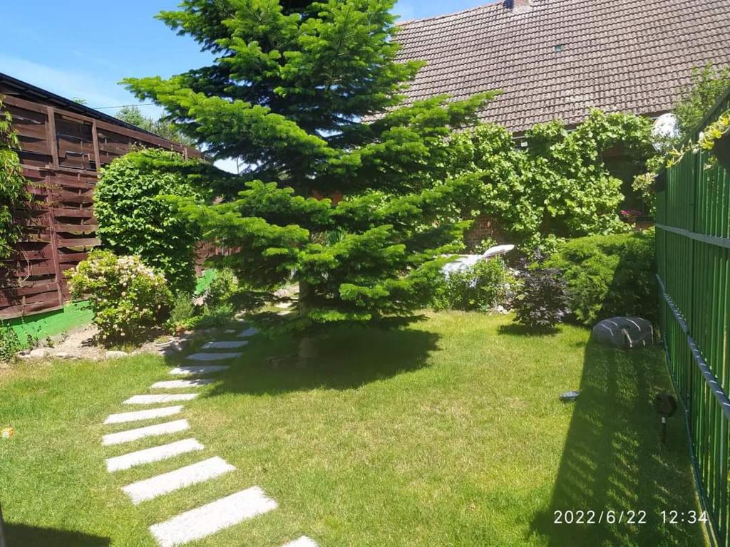Vonkajšia záhrada v ubytovaní Kwatera Agro