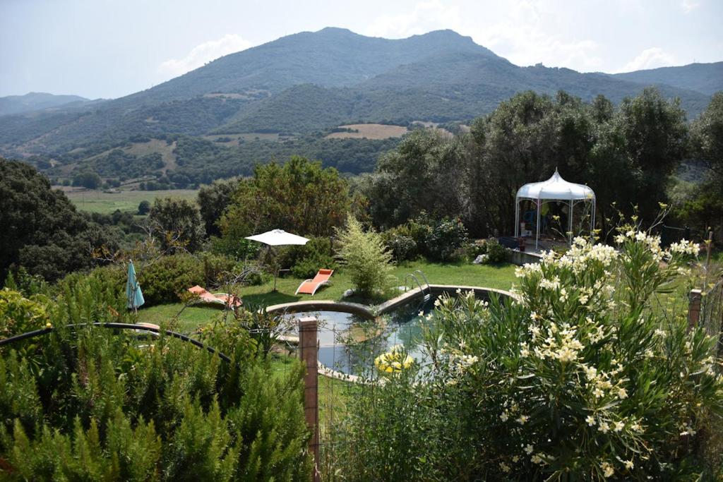 Foto dalla galleria di U Pianarellu a Olmeto