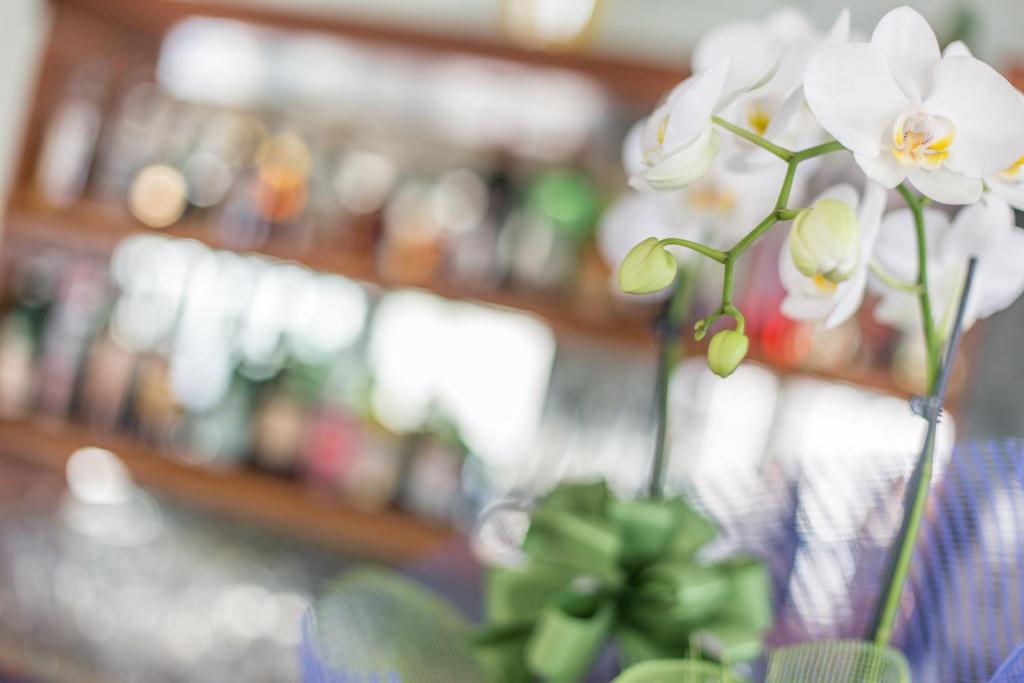 Hotel Emilia - Resim 41