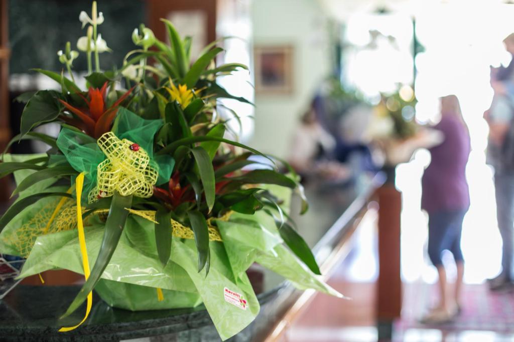 Hotel Emilia - Resim 40