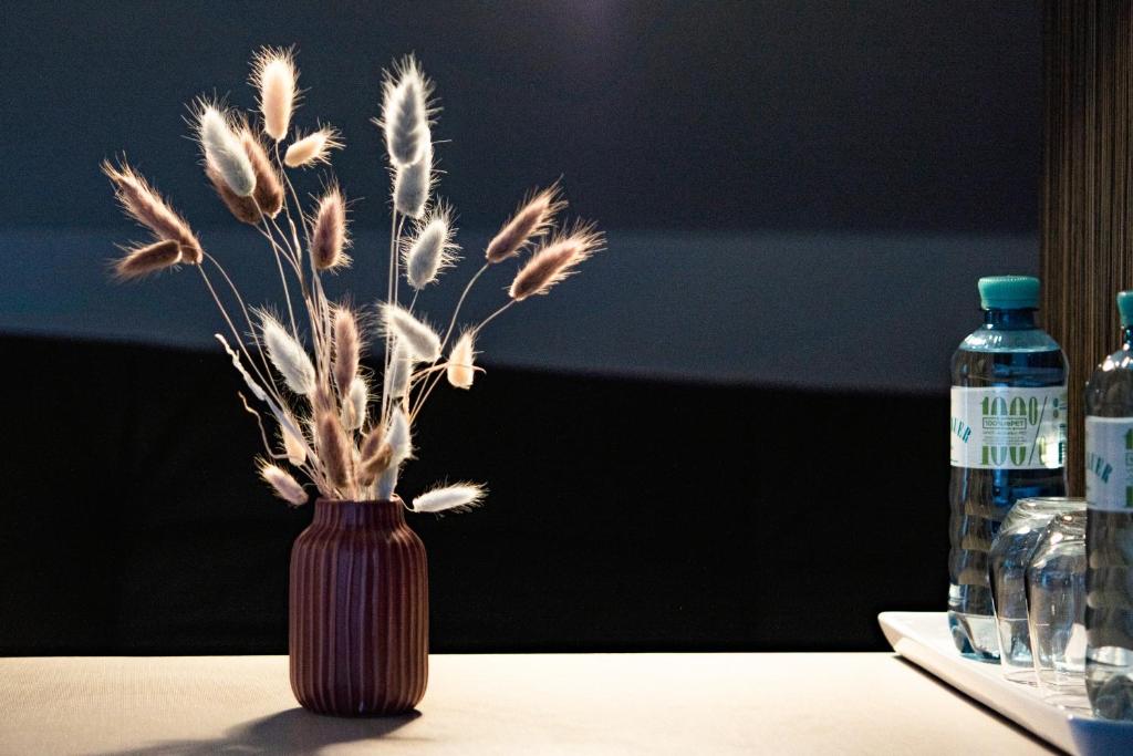 AMADEA - Cityhotel Salzburg - 13