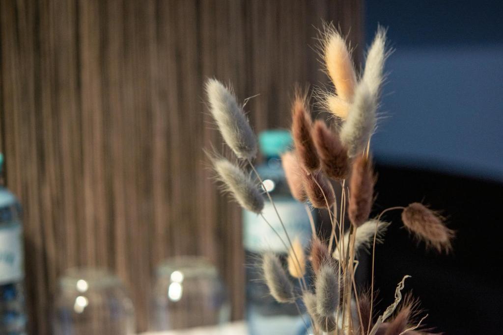 AMADEA - Cityhotel Salzburg - 14