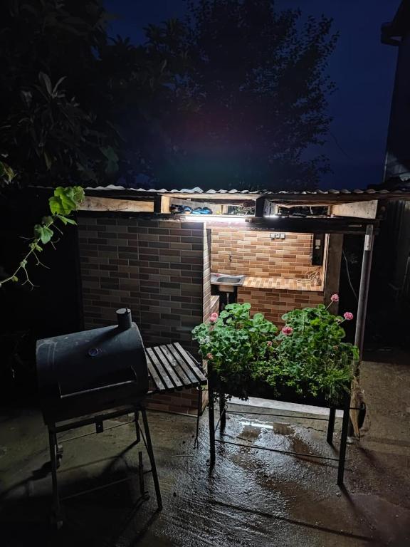 Fotografie z fotogalerie ubytování Guest House MARTA v destinaci Kobuleti