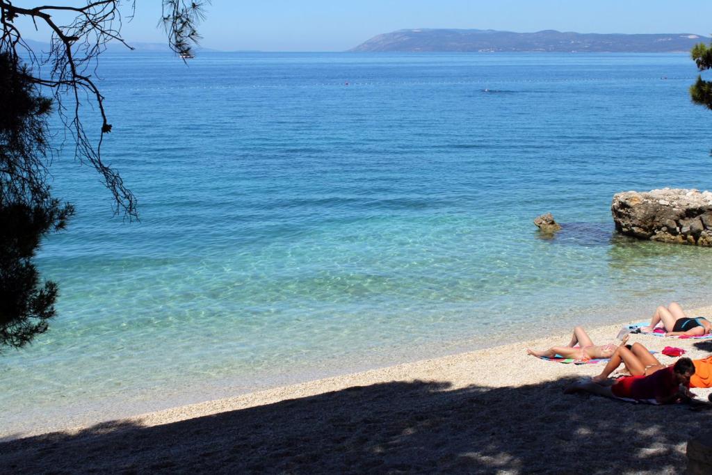 Fotografia z galérie ubytovania Apartments by the sea Tucepi, Makarska - 8742 v Tučepi