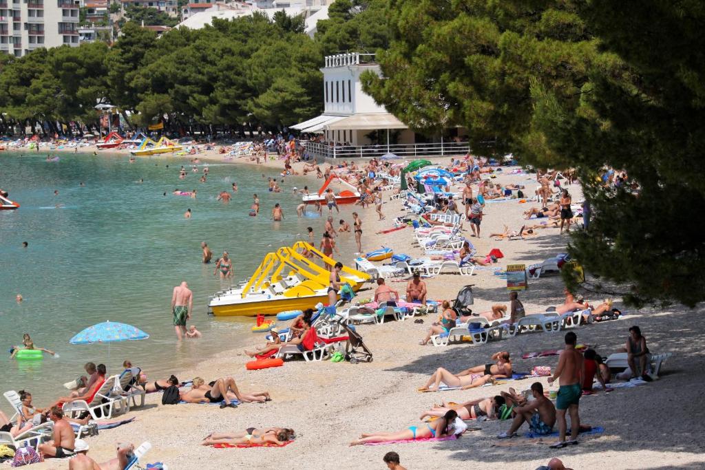 Príroda v okolí apartmánu