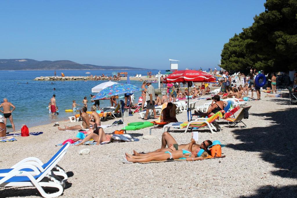 Fotografia z galérie ubytovania Apartments and rooms with parking space Makarska - 16449 v destinácii Makarska