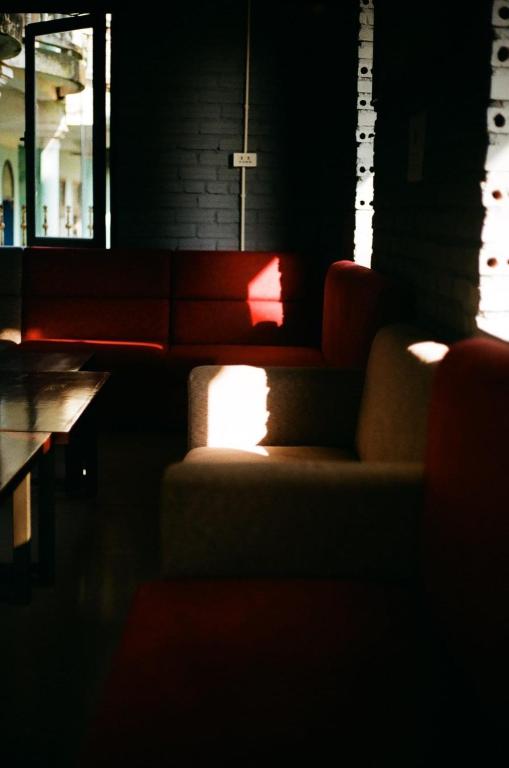 Central Backpackers Hostel - Phong Nha - 11