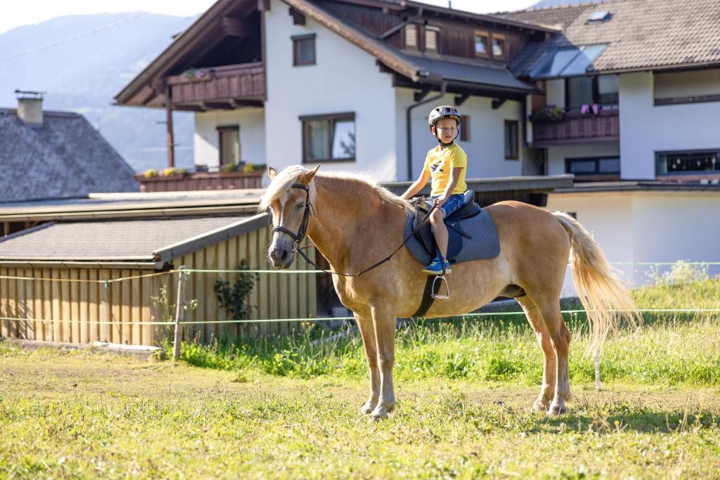 Zvířata v ubytování v soukromí nebo okolí