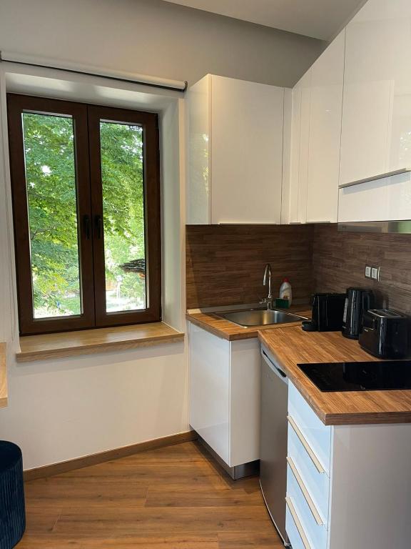 A kitchen or kitchenette at 11 Luxury apartments.
