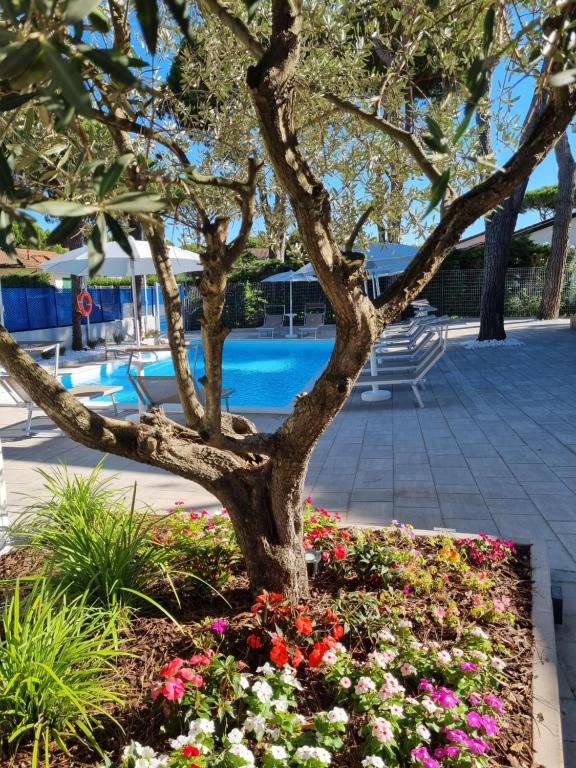 uma árvore num canteiro de flores ao lado de uma piscina em Blue Inn Residence e B&B em Lido delle Nazioni