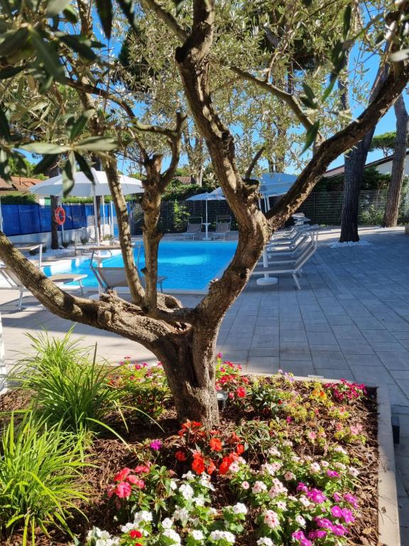 a tree in a flower bed next to a pool at Blue Inn Residence e B&B in Lido delle Nazioni